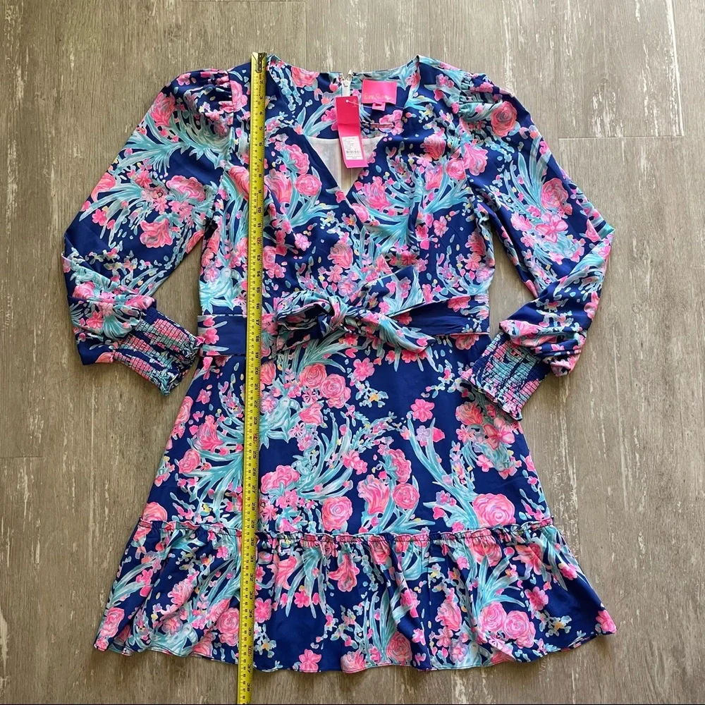 Sold Lilly Pulitzer Rosie Stretch Dress - Toucan Party - Picture 3 of 12